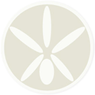fundo_site